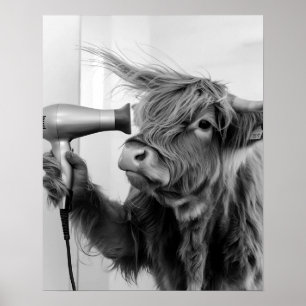 Highland Koe doet haarstyling en maakt zich klaar Poster
