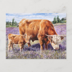 Highland Koe en Calf Paarse Wildflowers Briefkaart
