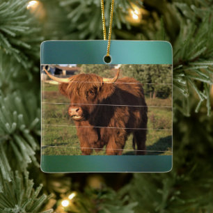 Highland Koe Foto Keramisch Ornament