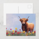 Highland Koe in een veld van tulpen Briefkaart (Voorkant / Achterkant)