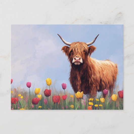 Highland Koe in een veld van tulpen Briefkaart (Voorkant)