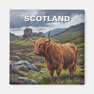 Highland Koe in Schotland Reizen Magneet
