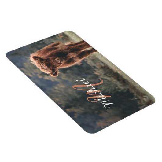 Highland koe kalf herfstgras monogram initiaal magneet (Rechterzijde)