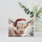 Highland Koe Kerst Kaart Briefkaart (Staand voorkant)