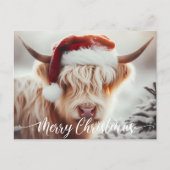 Highland Koe Kerst Kaart Briefkaart (Voorkant)