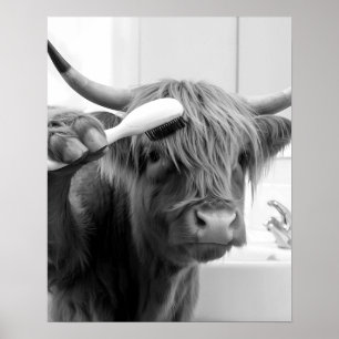 Highland Koe met haarborstel Funny Haarstylist Poster