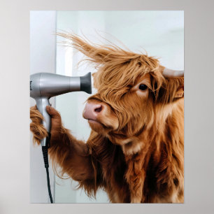 Highland Koe met Haardroger Blow Drying Badkamer Poster
