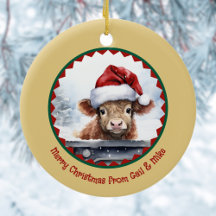 Highland Koe met Schattigee Santa Hat n Naam Chris