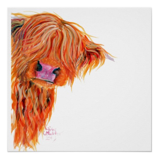 Highland Koe 'Peekaboo' Poster Afdrukken Perfect Poster (Voorkant)