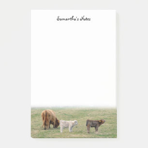 Highland Koe Post-It Notes