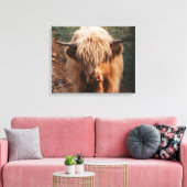 Highland Koe Scotland Canvas Afdruk (Insitu (Woonkamer))