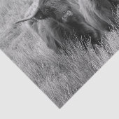 Highland Koe Scotland Rustic Black White Tissue Tissuepapier (Detail)
