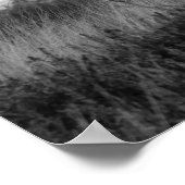 Highland Koe Scotland Rustic Brown monotone Post Poster (Hoek)