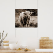 Highland Koe Scotland Rustic Brown monotone Poster (Keuken)