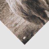 Highland Koe Scotland Rustic Brown monotone Tissuepapier (Detail)