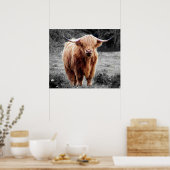 Highland Koe Scotland Rustic Poster Black White (Keuken)