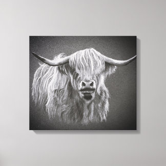 Highland Koe Wrapped Canvas
