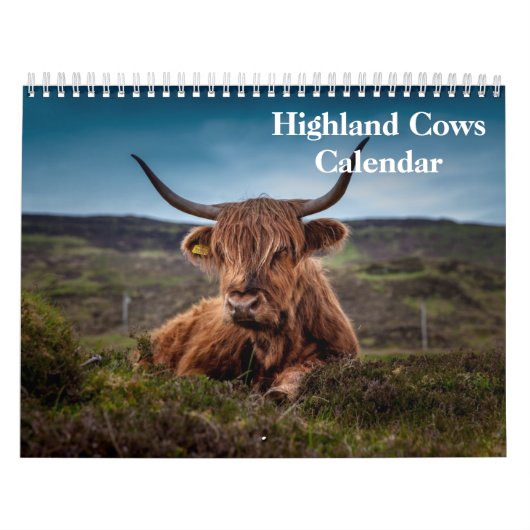 Highland Koeien 2025 Kalender (Hoes)