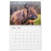 Highland Koeien 2025 Kalender (Feb 2026)