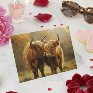 Highland Koeien in liefde Briefkaart