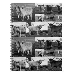 Highland Koeien in zwart wit fotocollage, Notitieboek