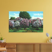Highland Park Lilacs in Bloom Canvas Afdruk (Insitu (Woonkamer))