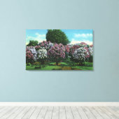 Highland Park Lilacs in Bloom Canvas Afdruk (Insitu (Houten vloer))