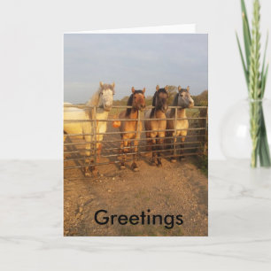 Highland pony Groeten Kaart