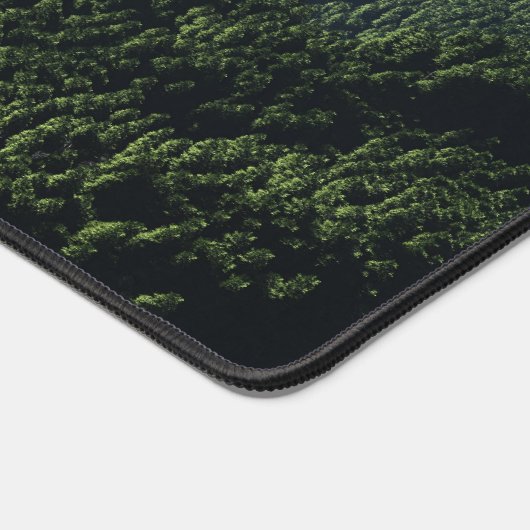 Highland Spring (Coin)