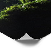 Highland Spring Poster (Hoek)