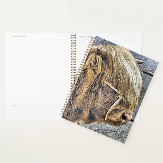 HIGHLAND VW (Devant avec enveloppe)