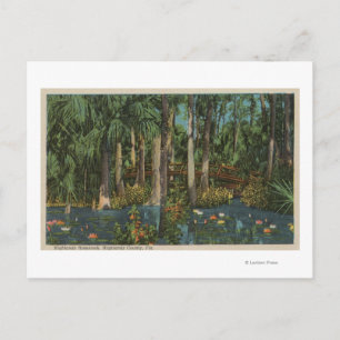 Highlands County, FL - Uitzicht van Highlands Hamm Briefkaart