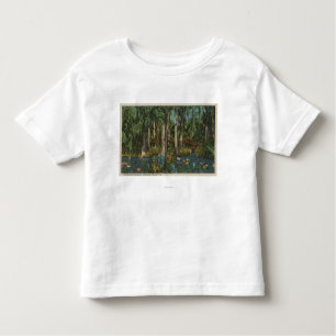 Highlands County, FL - Uitzicht van Highlands Hamm Kinder Shirts