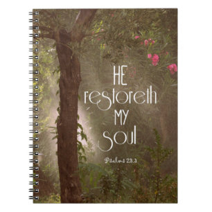 Hij herstelt mijn Soul Bible Verse Notitieboek