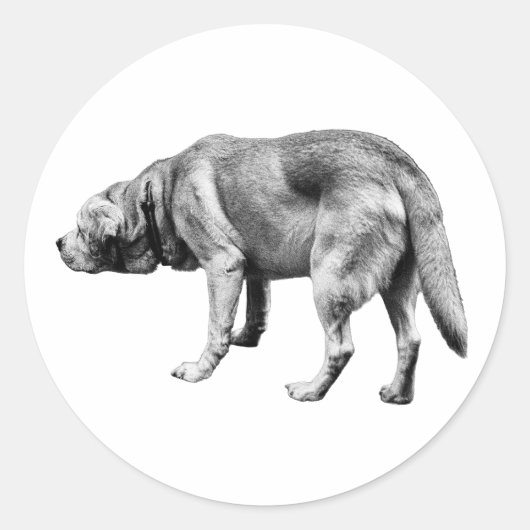 Hij kent de weg ronde sticker (Voorkant)