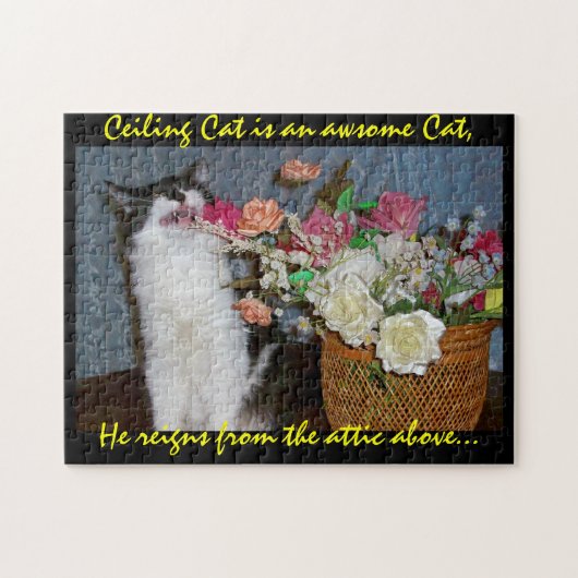 Hij komt uit de zolder... legpuzzel (Horizontaal)