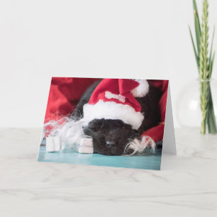 Hij "neus: als je een ondeugende kaart bent gewees