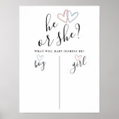 Hij of zij, jongen of meisje, geslacht onthullen s poster (Voorkant)