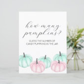 Hij of zij kleine pompoen geslacht onthullen spel  (Staand voorkant)