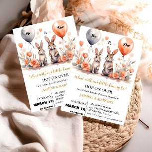 Hij of Zij paashaas ballonnen geslacht onthullen Kaart