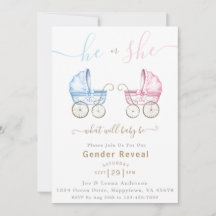 Hij of Zij Roze & Blauw Wandelwagen Gender Reveal