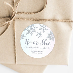 Hij of zij Roze Blauwe Winter Sneeuwvlok Geslacht  Ronde Sticker