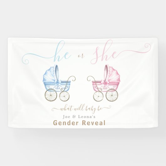 Hij of Zij, Roze of Blauwe Wandelwagen Geslacht On Spandoek (Horizontaal)