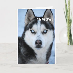 HIJ ZEGT WAAROM WAAROM DE 16e BIRTHDAY-HUMOR Kaart