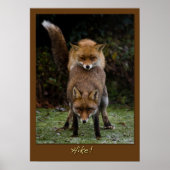 Hike! Poster (Voorkant)