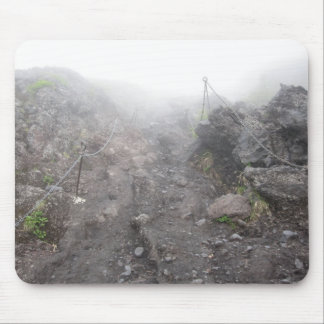 Hike Up Fuji Muismat