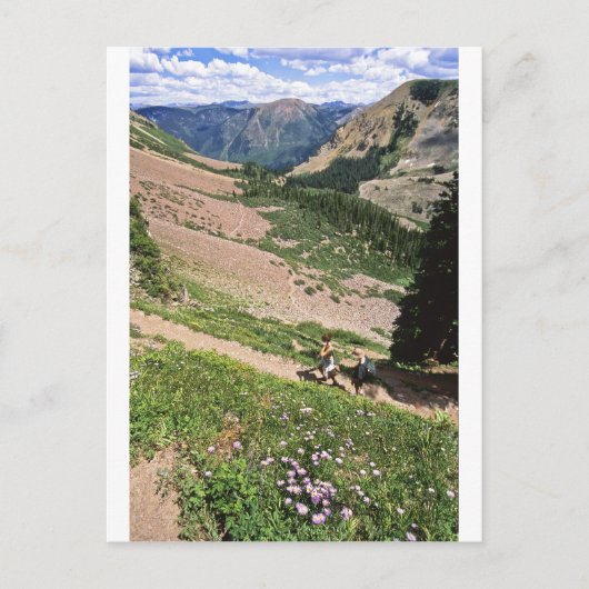Hikers in Rockies Aspen CO Briefkaart (Voorkant)