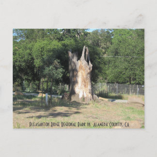 Hiking in Pleasanton, CA 6 Briefkaart