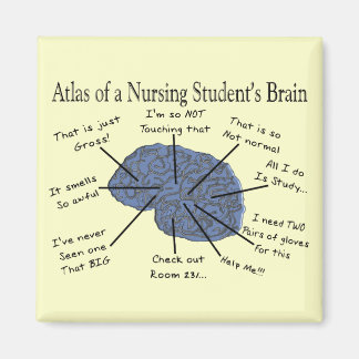 Hilarious Nursing Student "Brain" Gifts Magneet