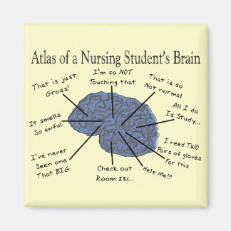 Hilarious Nursing Student "Brain" Gifts Magneet